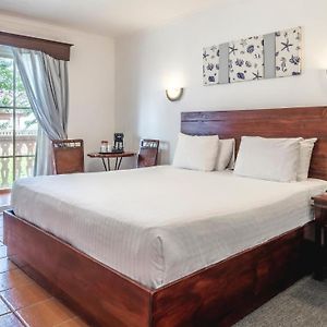 Deluxe Ocean View Adult Only King Bed